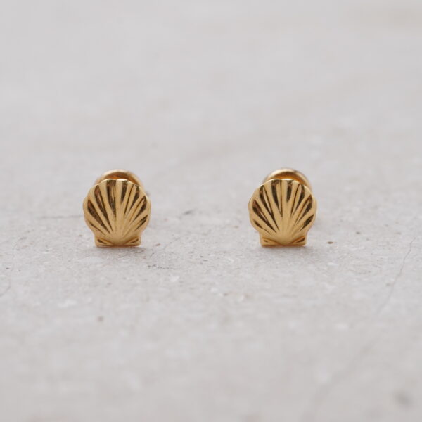 Aretes ortopedicos conchas de mar 18k